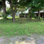 コモングリーン